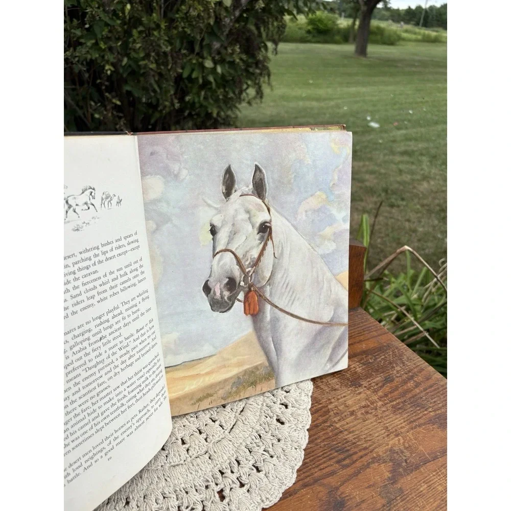Vintage Book Album of Horses by Marguerite Henry 1969 Hardcover Amazing Artwork